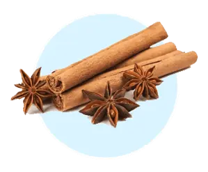 Cinnamon 20,21 aquaburn